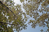 Panna National Park, Chattarpur, Madhya Pradesh